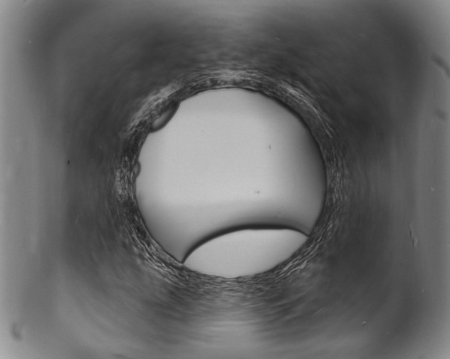 X0000101691207200807101159
