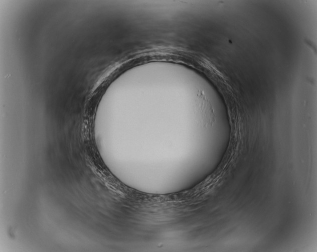 X0000101691208200807101159