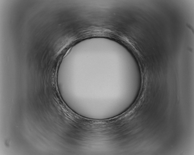 X0000101691211200807101200