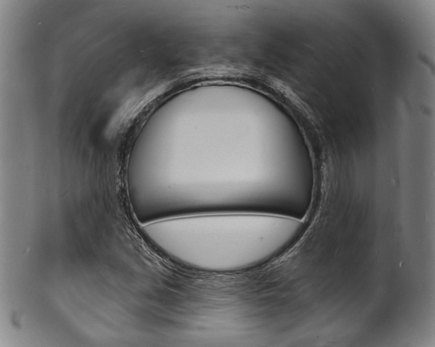 X0000101691213200807101200