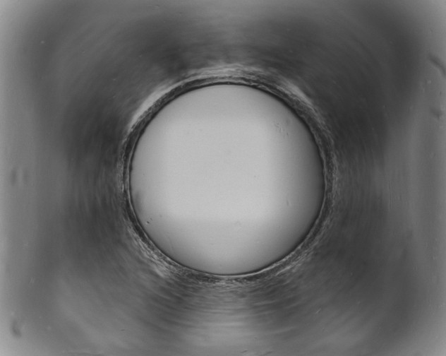X0000101691216200807101200