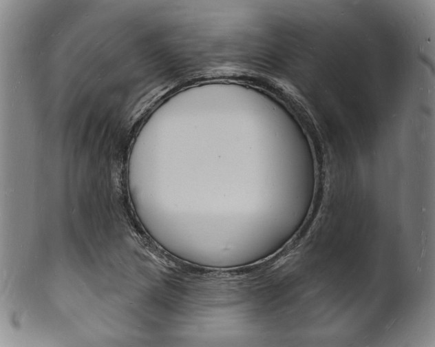 X0000101691217200807101200