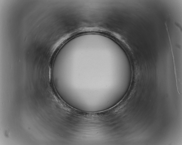 X0000101691221200807101200