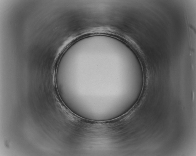 X0000101691224200807101200