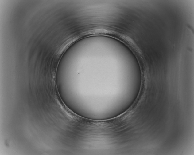 X0000101691225200807101200