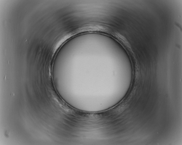 X0000101691226200807101200