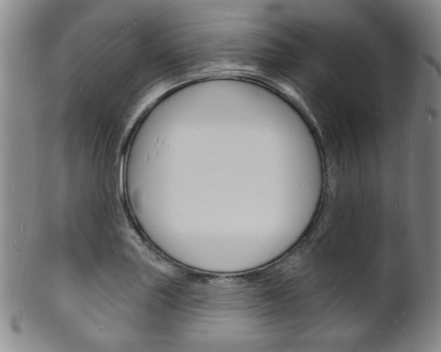X0000101691227200807101200