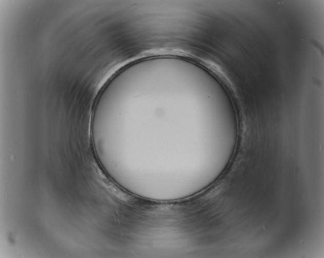 X0000101691228200807101200
