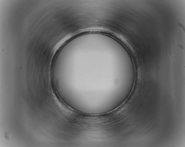 X0000101691229200807101200