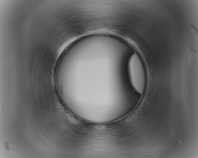 X0000101691230200807101200