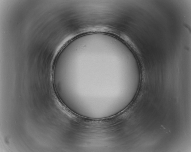 X0000101691232200807101200