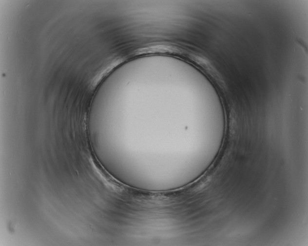 X0000101691233200807101200