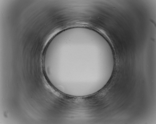 X0000101691235200807101200