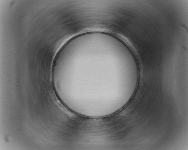 X0000101691236200807101200