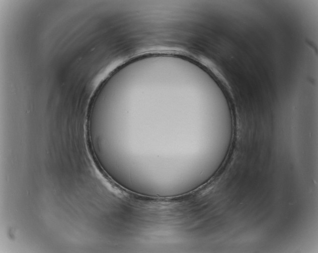 X0000101691237200807101200