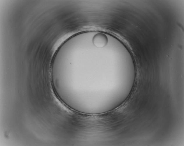 X0000101691239200807101200