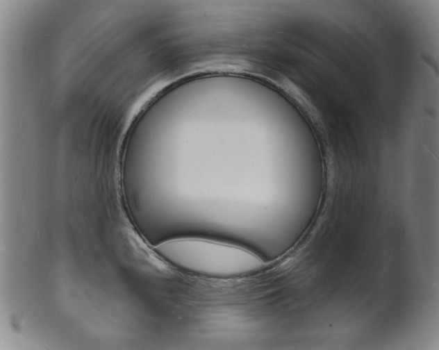 X0000101691240200807101200