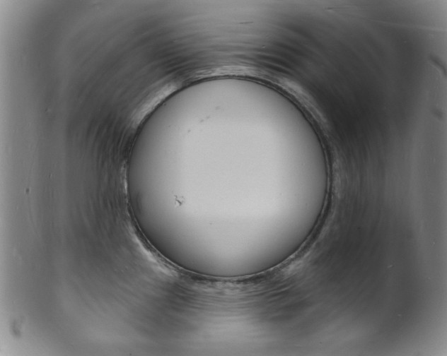 X0000101691241200807101200