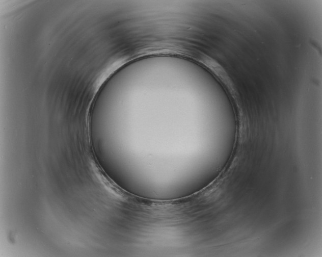 X0000101691242200807101200
