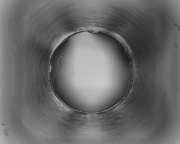 X0000101691244200807101200