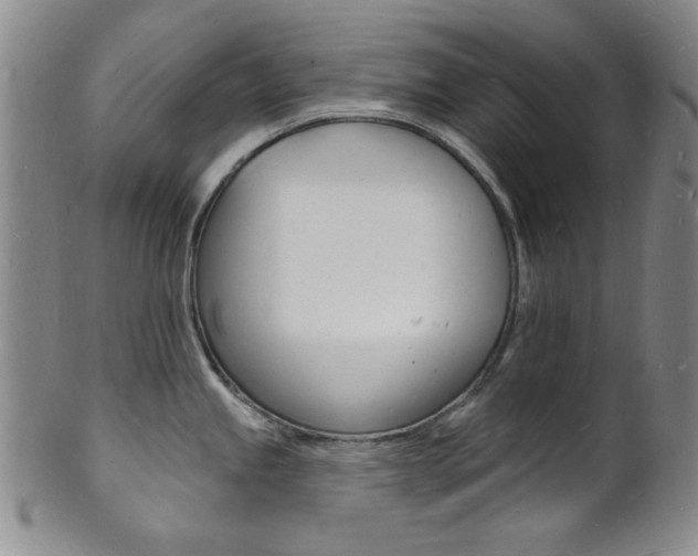 X0000101691245200807101200