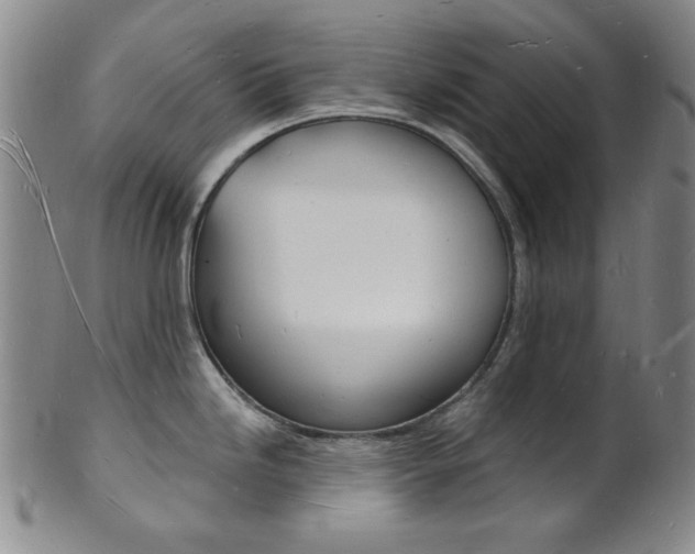 X0000101691246200807101200