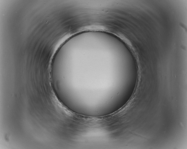 X0000101691248200807101200