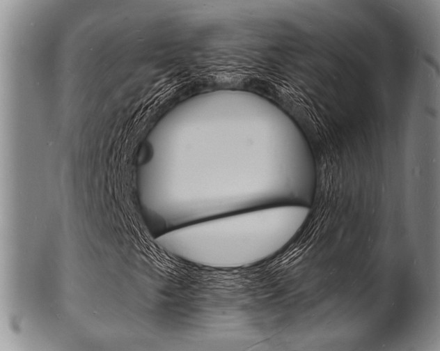 X0000101691249200807101159