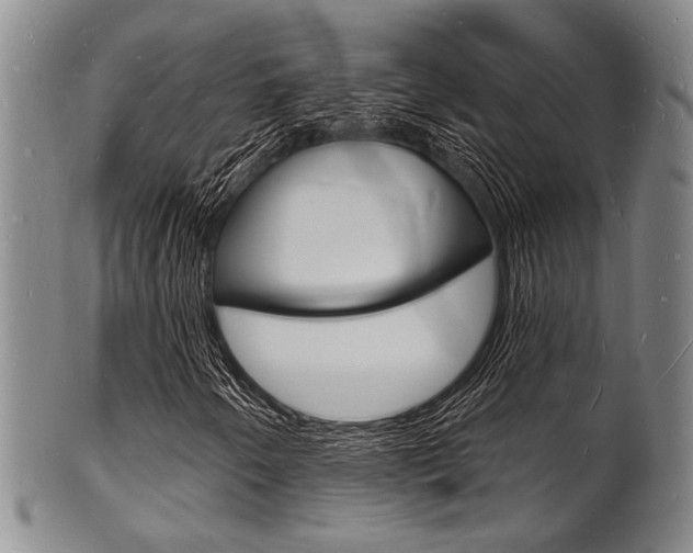 X0000101691250200807101159