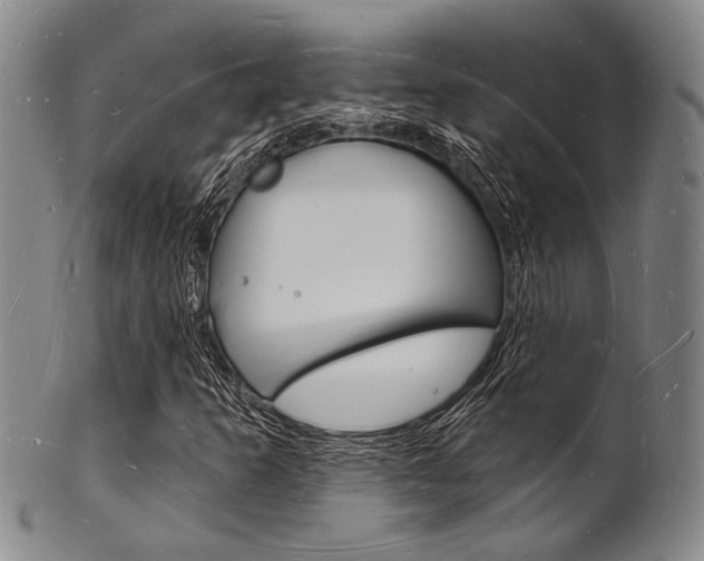 X0000101691253200807101159