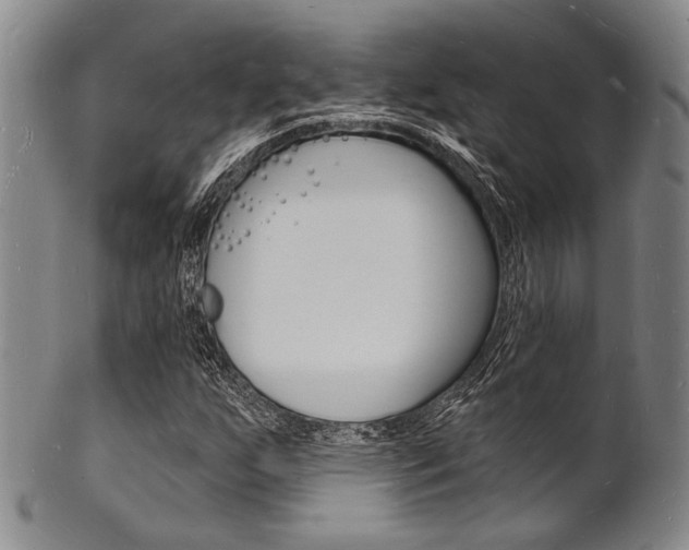 X0000101691255200807101159