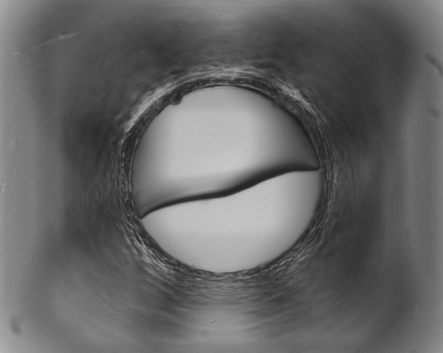 X0000101691256200807101159