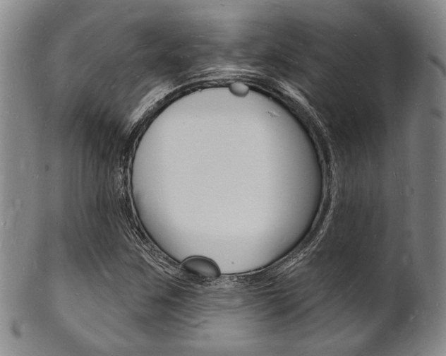 X0000101691259200807101159