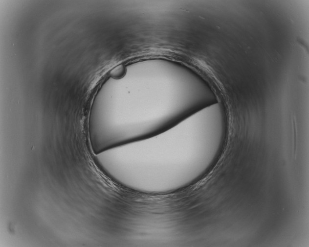 X0000101691260200807101159
