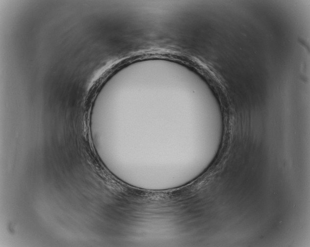 X0000101691262200807101159