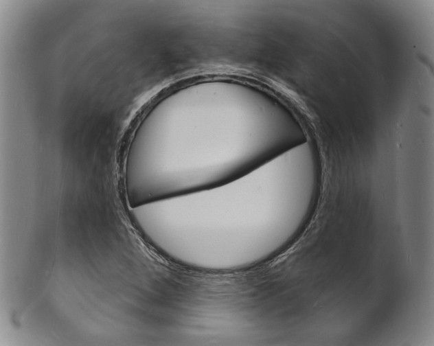 X0000101691264200807101159