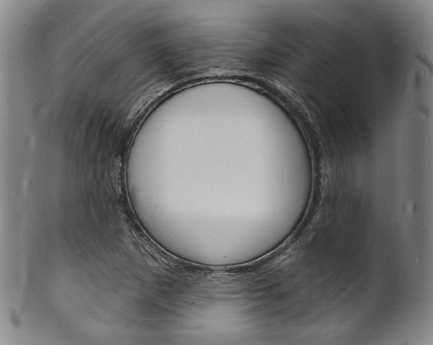 X0000101691265200807101159