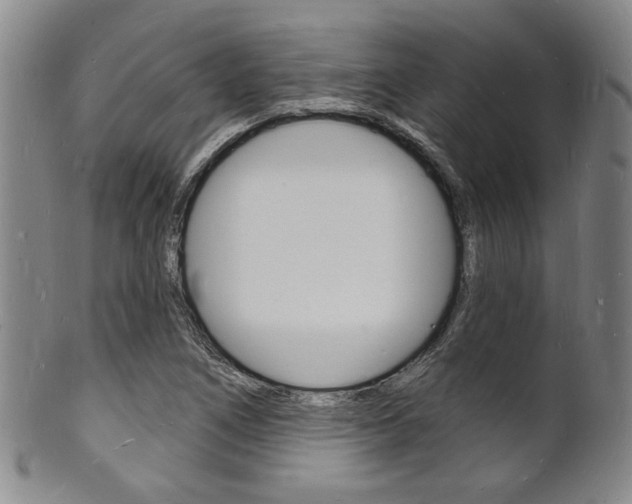 X0000101691266200807101159