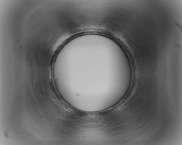 X0000101691267200807101159