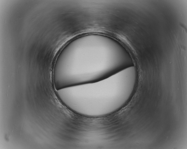X0000101691268200807101159