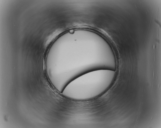 X0000101691269200807101159