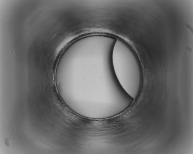 X0000101691271200807101159