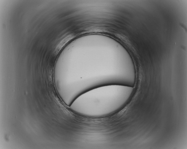 X0000101691273200807101159