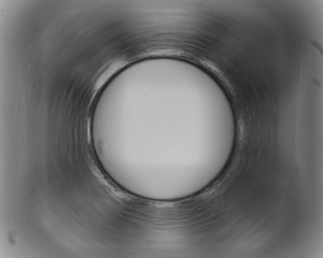 X0000101691274200807101159