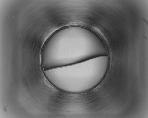 X0000101691276200807101159
