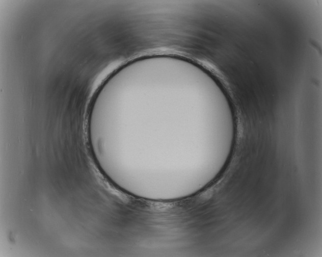 X0000101691278200807101159