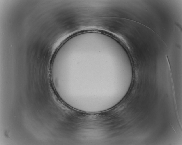 X0000101691279200807101159