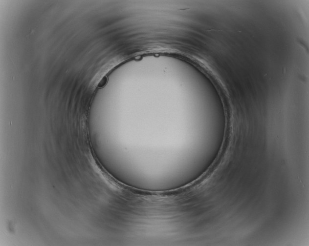 X0000101691281200807101159