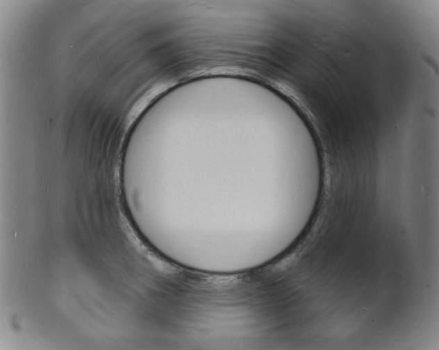 X0000101691282200807101159