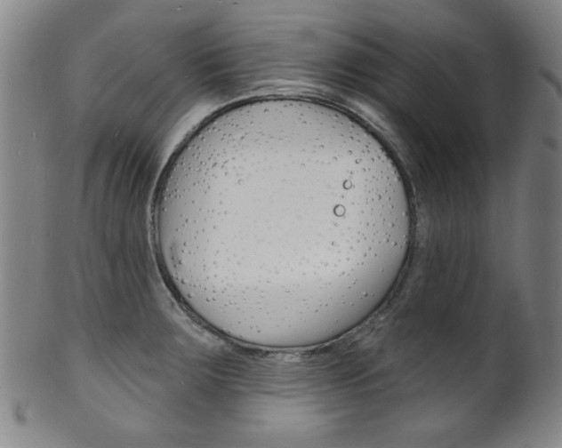 X0000101691283200807101159